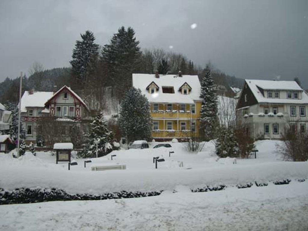 Erika'S Haus In Der Sonne Leilighet Bad Grund Eksteriør bilde
